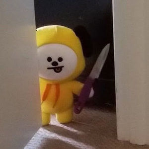 Meet your Posher, Jing